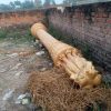 कूड़े के ढेर में पड़े अशोक स्तंभ की वायरल तस्वीर।