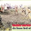 जिंदा जलाए गए दो लोग