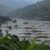 नेपाल के पहाड़ी भाग में आई बाढ़ में बहते पेड़।