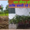 सासाराम प्रखंड के झलखोरिया गांव में पौधे का रोपण करते किसान।