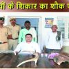 वन्य जीवों की हत्या के आरोप में पकड़े गए शिकारी एवं पूरे मामले की जानकारी देते डीएफओ मनीष कुमार वर्मा।